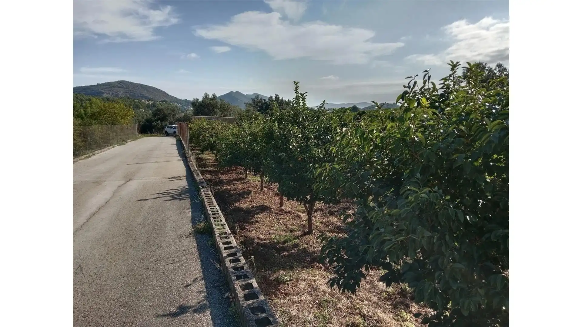 Terreny rústic en venda a Parcent, imagen 4