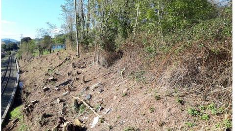 Foto 3 de Terreno en venta en Bárcena de Cicero, Cantabria