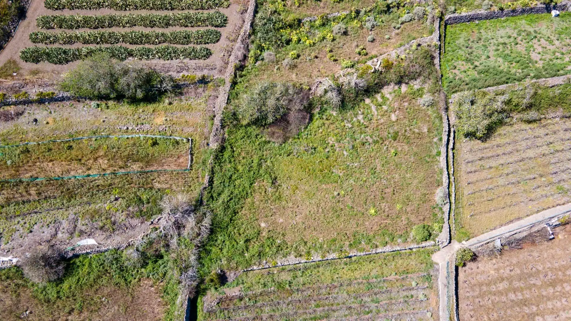 Terreno en venta en Buenavista del Norte