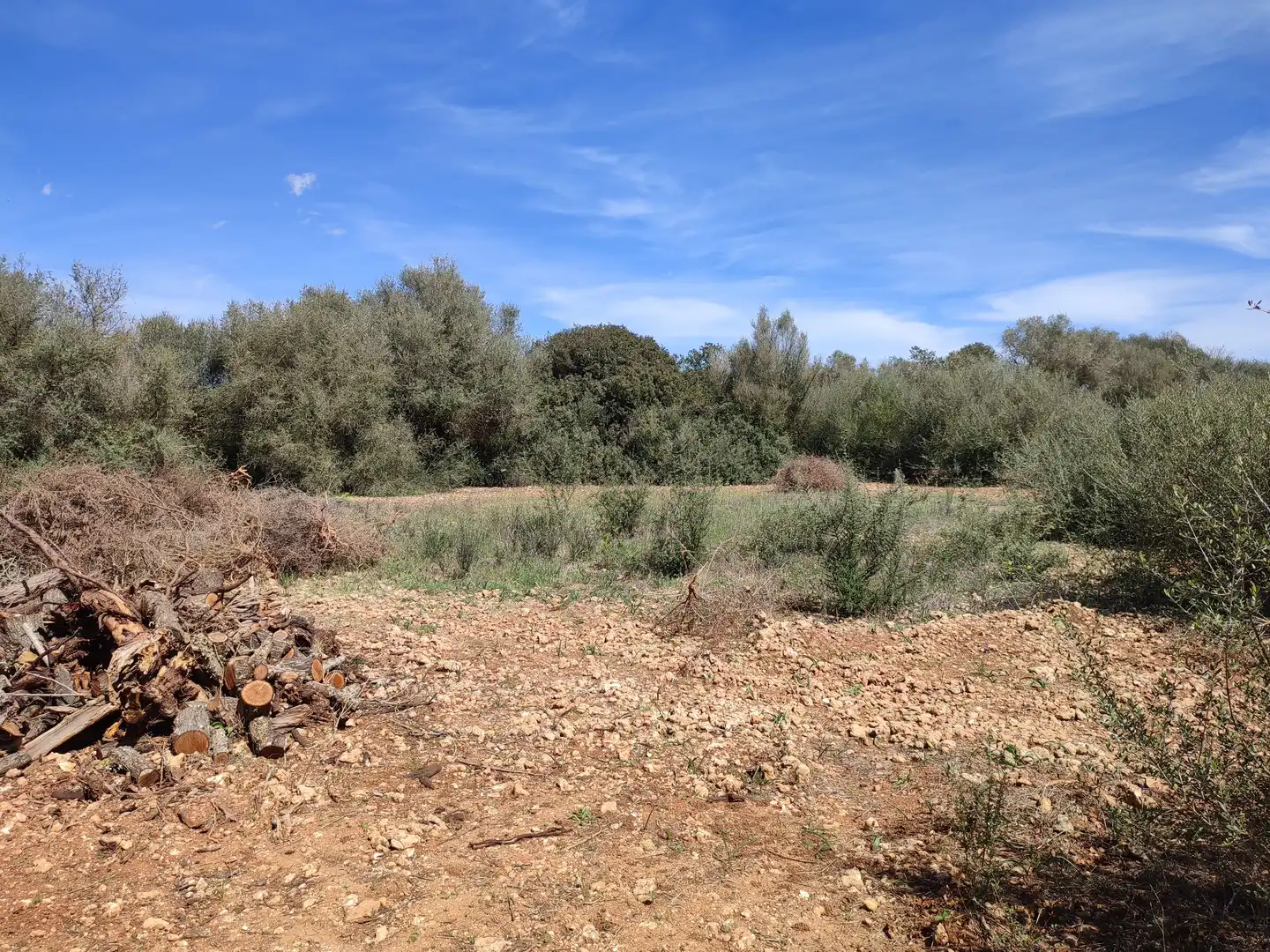 Maison rustique avec jardin à vendre à Felanitx Poble, imagen 26