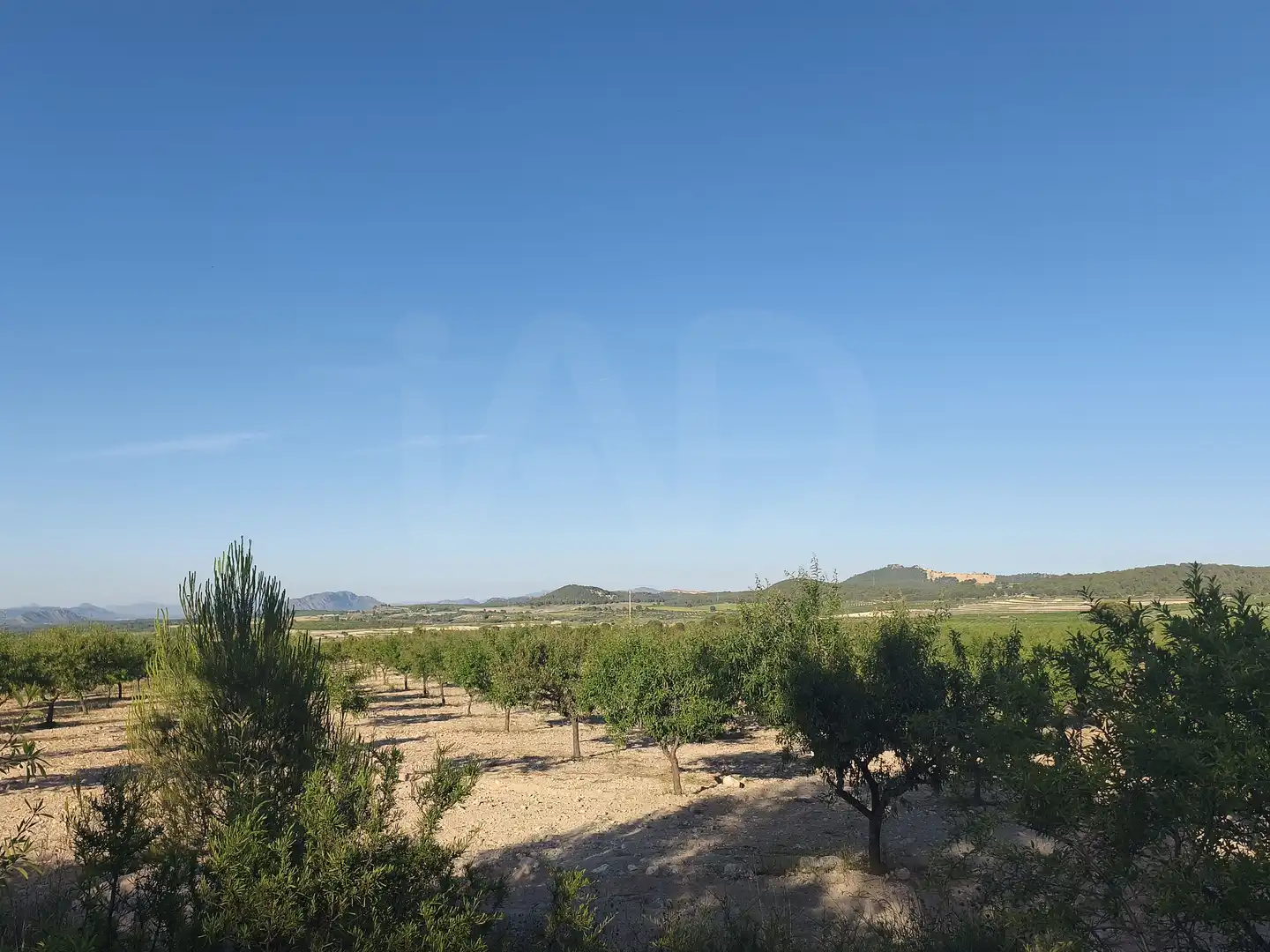 Terreno rustico in vendita a Moratalla, imagen 9