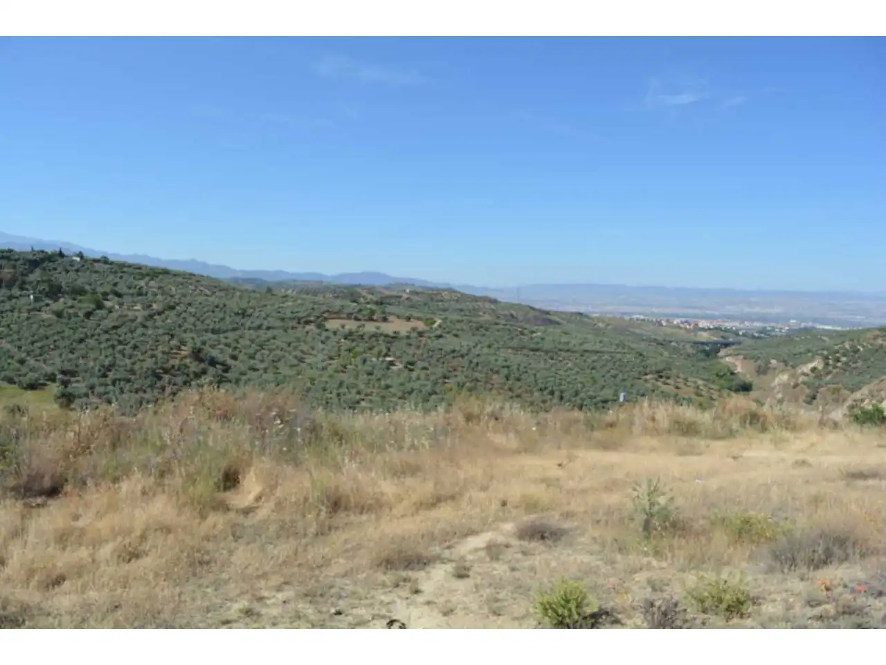 Lands and plots for sale in Plaza Iglesia 1, imagen 18