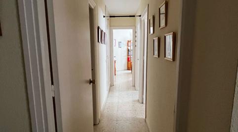 Photo 3 of Flat for sale in Alfalfa - Santa Cruz, Sevilla