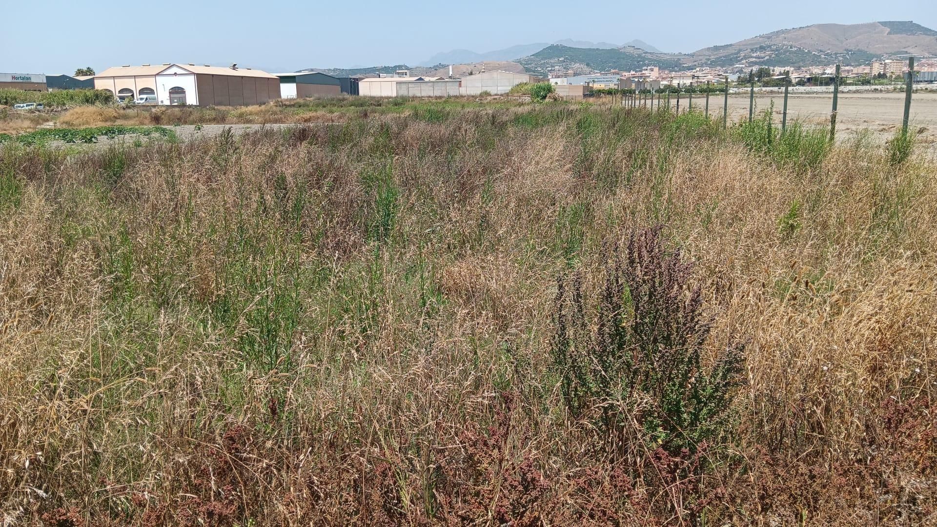 Terreny industrial en venda en Motril