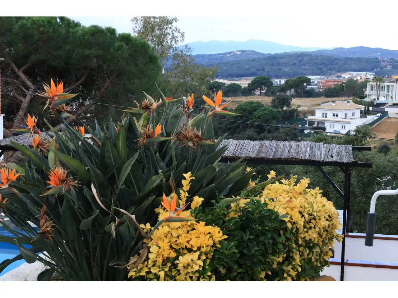 Jardín de Casa o chalet en venta en Lloret de Mar con Jardín privado, Terraza y Piscina