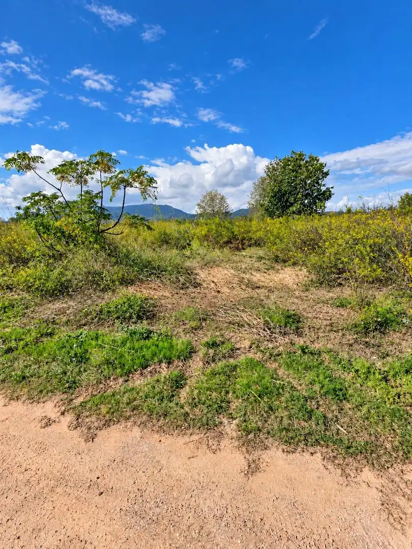 Rural land for sale in Polígono Sèquia de la Figuerola Dreta, imagen 16
