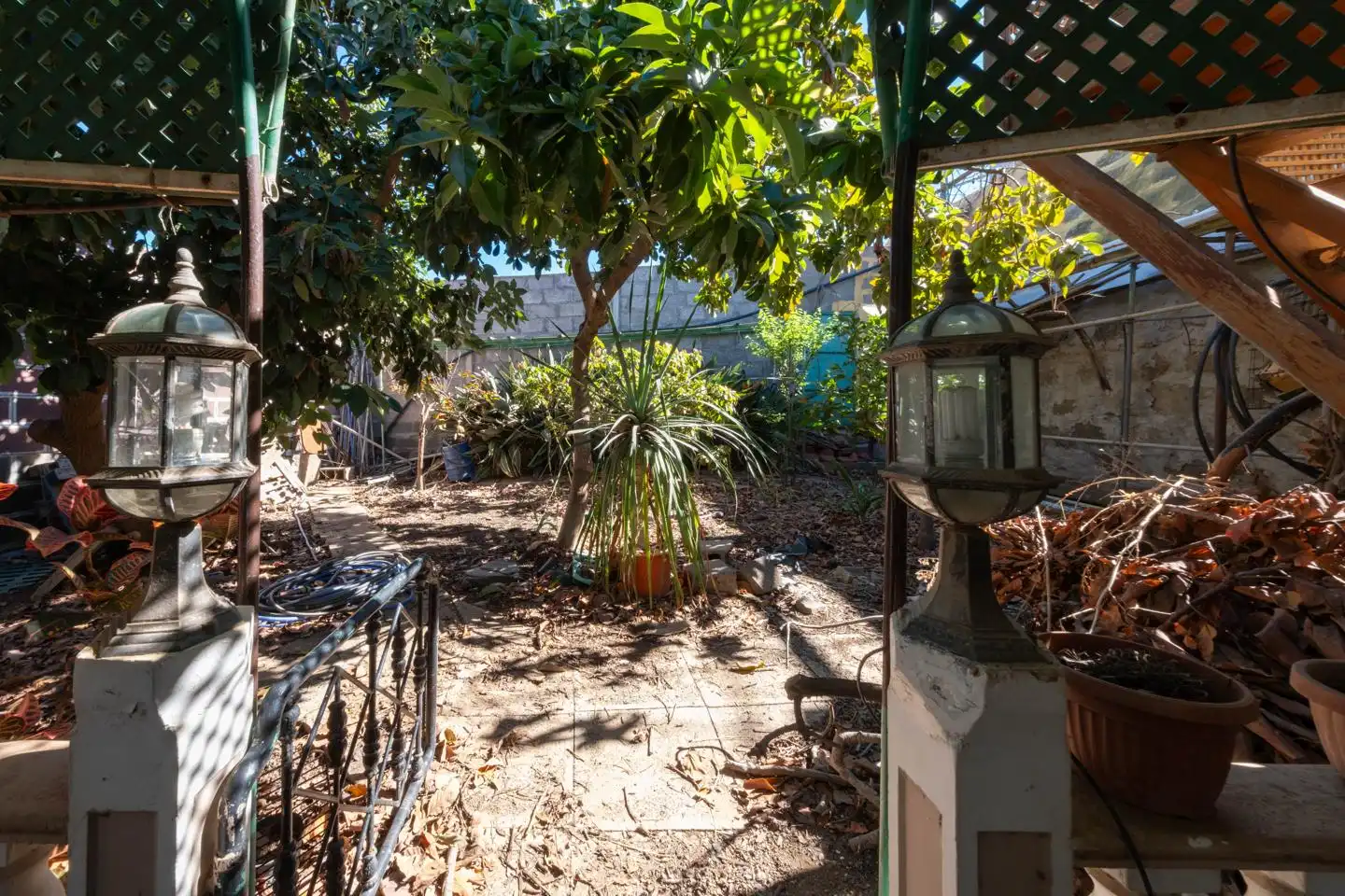 Garden of Country homes for sale in Gáldar