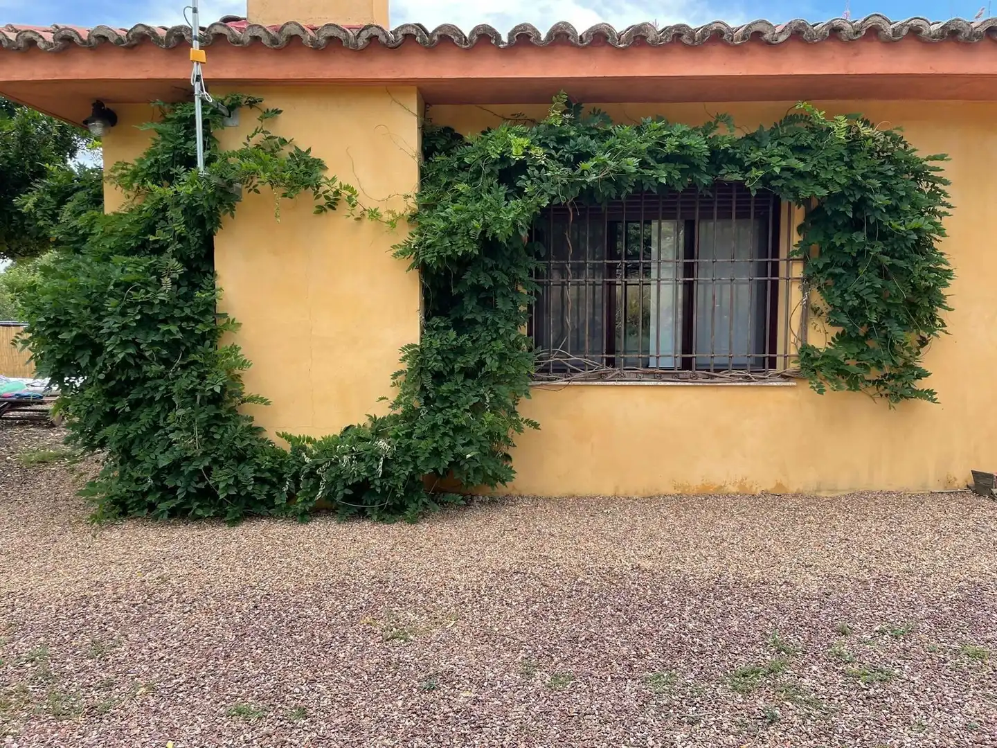 Vista exterior de Casa o chalet en venta en Jaraíz de la Vera con Aire acondicionado, Calefacción y Jardín privado