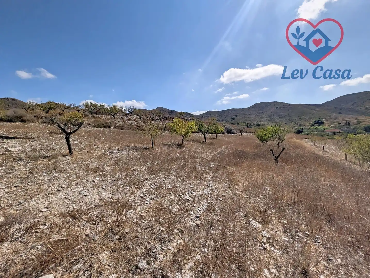 Terreno rustico in vendita a Playa del Galán, imagen 42