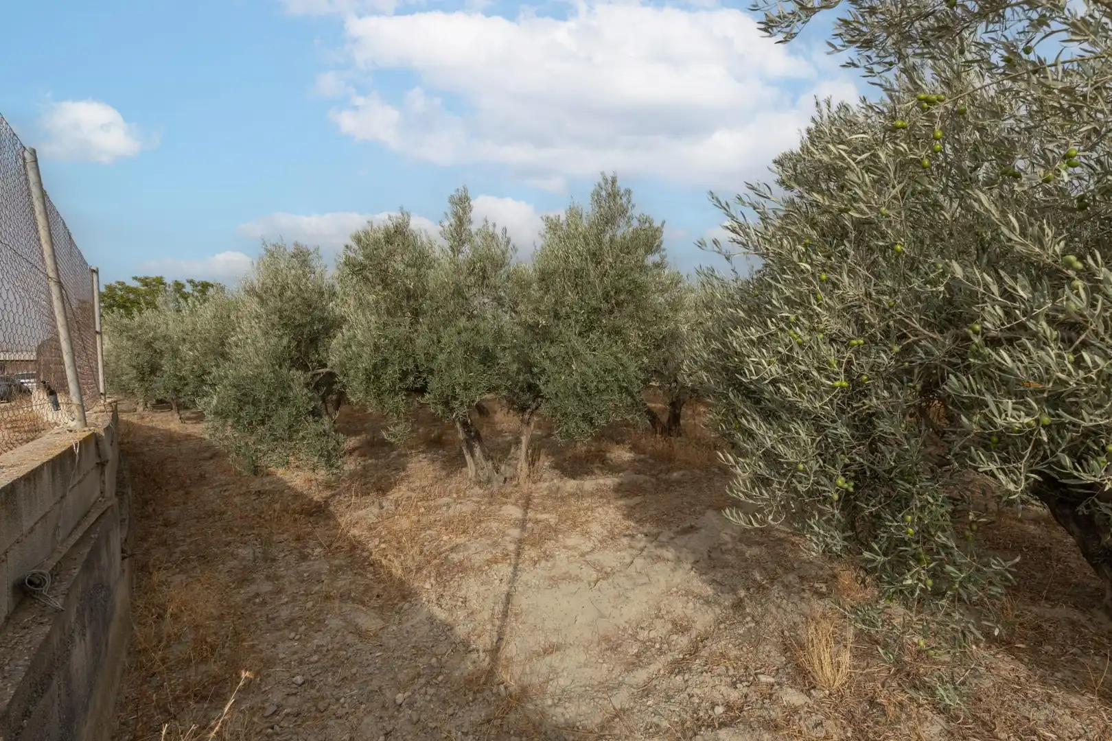 Country homes for sale in Polideportivo
