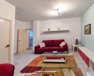 Sala d'estar de Pis de lloguer en Pontevedra Capital  amb Calefacció, Terrassa i Moblat