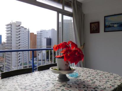 Terrassa de Apartament en venda en Benidorm amb Terrassa i Piscina