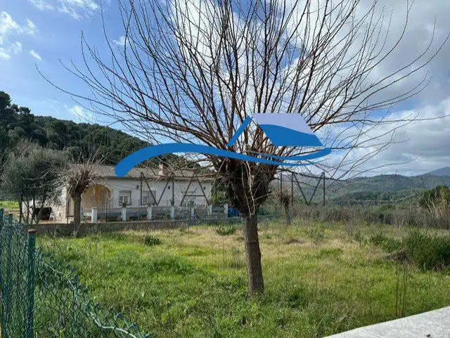 Lands and plots for sale in Tarongina