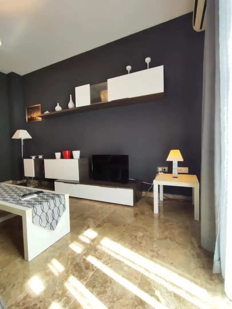 Living room of Flat for sale in Málaga  with Air Conditioner, Storage room and Furnished