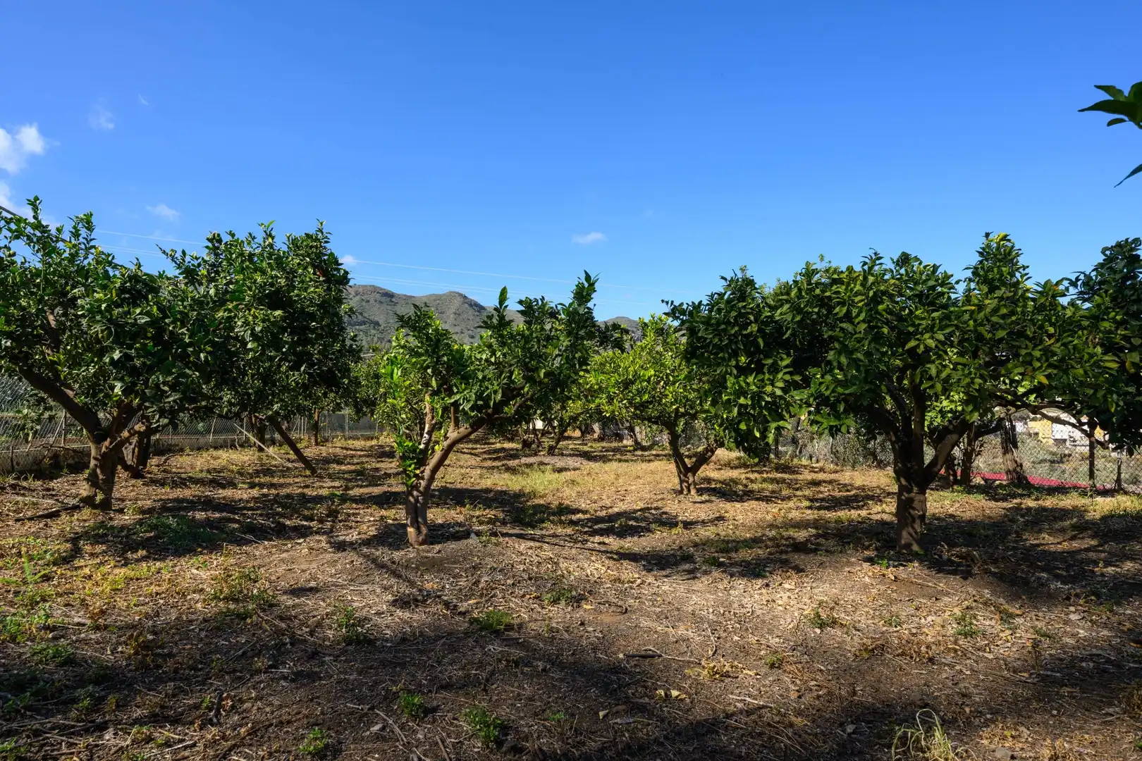 Casa o xalet en venda en Valsequillo de Gran Canaria amb Jardí privat i Terrassa