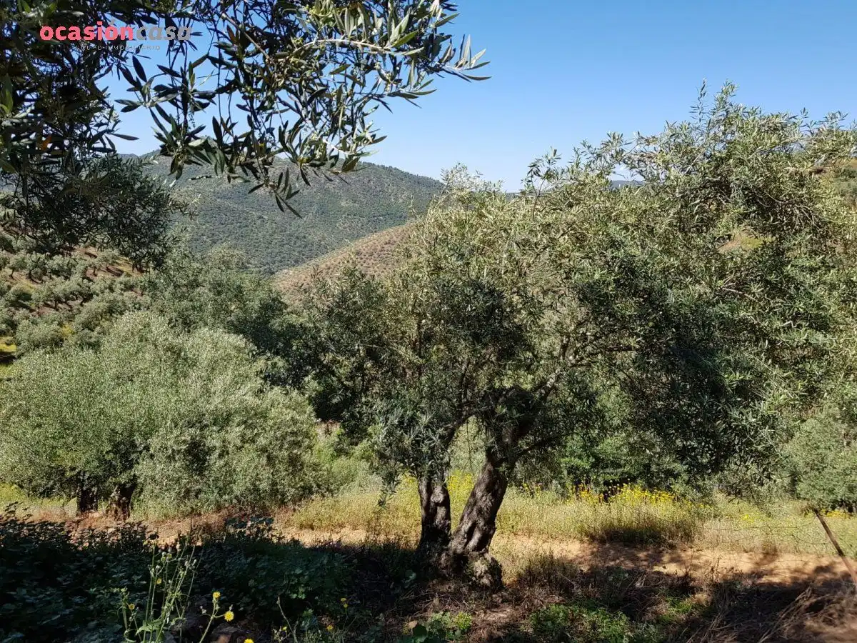 Finca rústica en venta en Villanueva de Córdoba con Jardín privado, Trastero y Amueblado