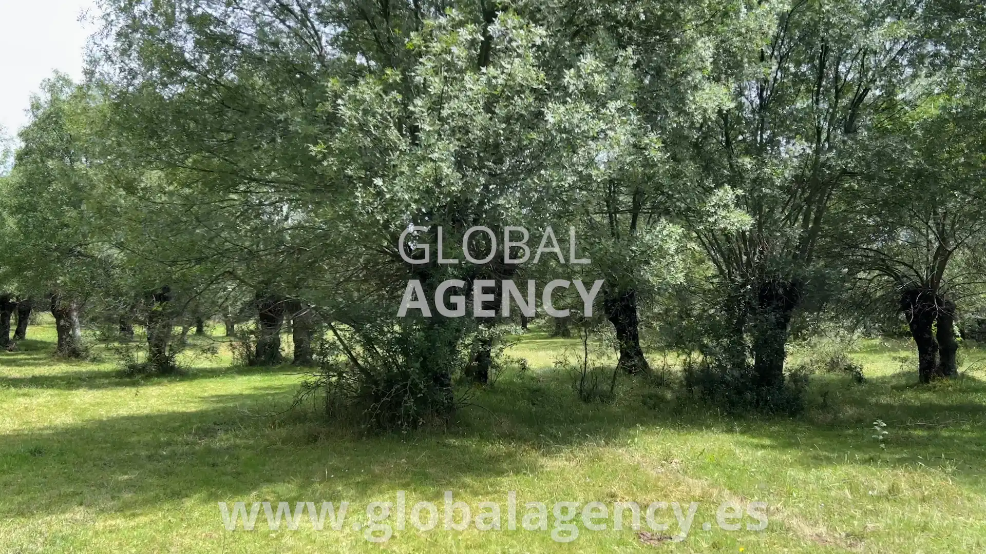 Rural land for sale in Soto del Real, imagen 17