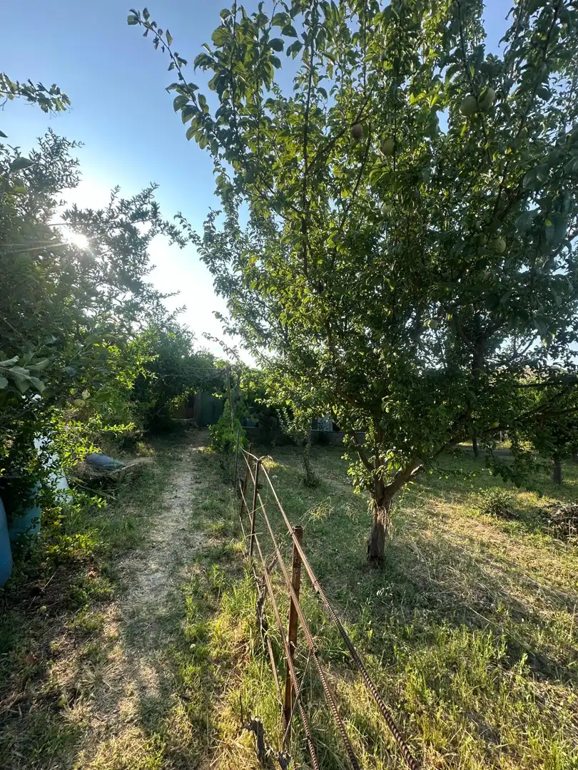 Finca rústica en venta en Olula del Río