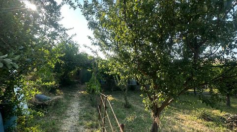 Foto 5 de Finca rústica en venta en Olula del Río, Almería