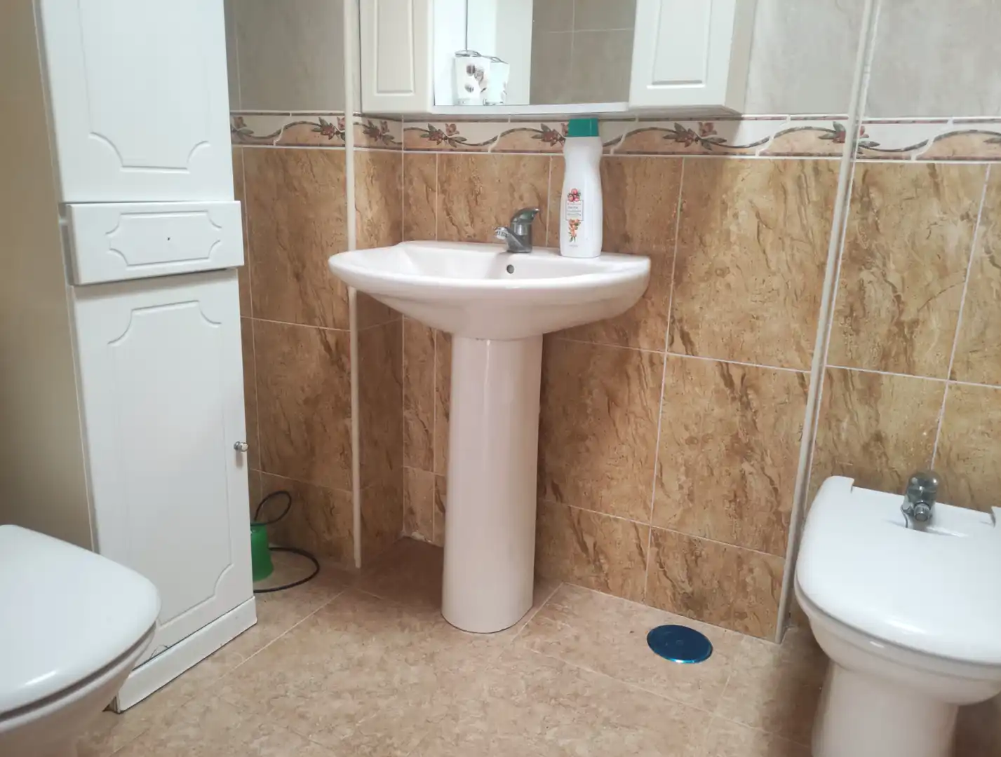 Bathroom of Detached homes for sale in Roquetas de Mar  with Terrace and Furnished