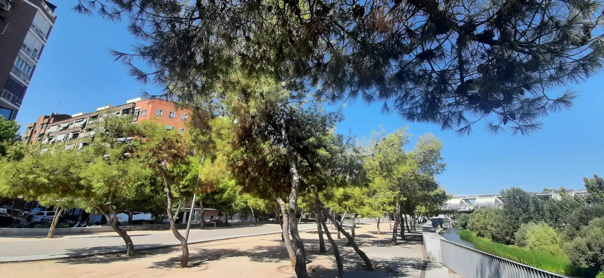 Appartement avec ascenseur à vendre à Calle Tomasa Ruiz, imagen 31