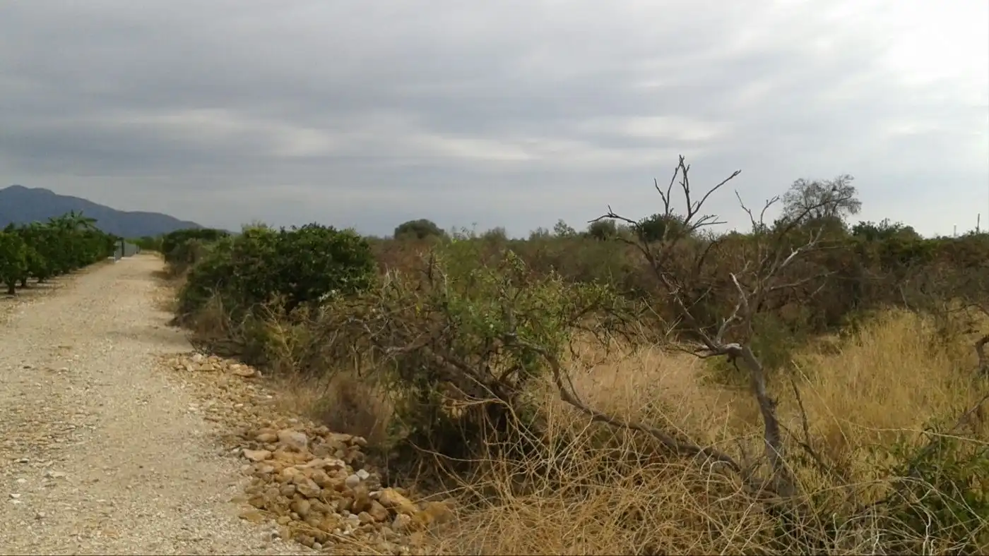 Terreny residencial en venda a Boverals - Saldonar, imagen 6