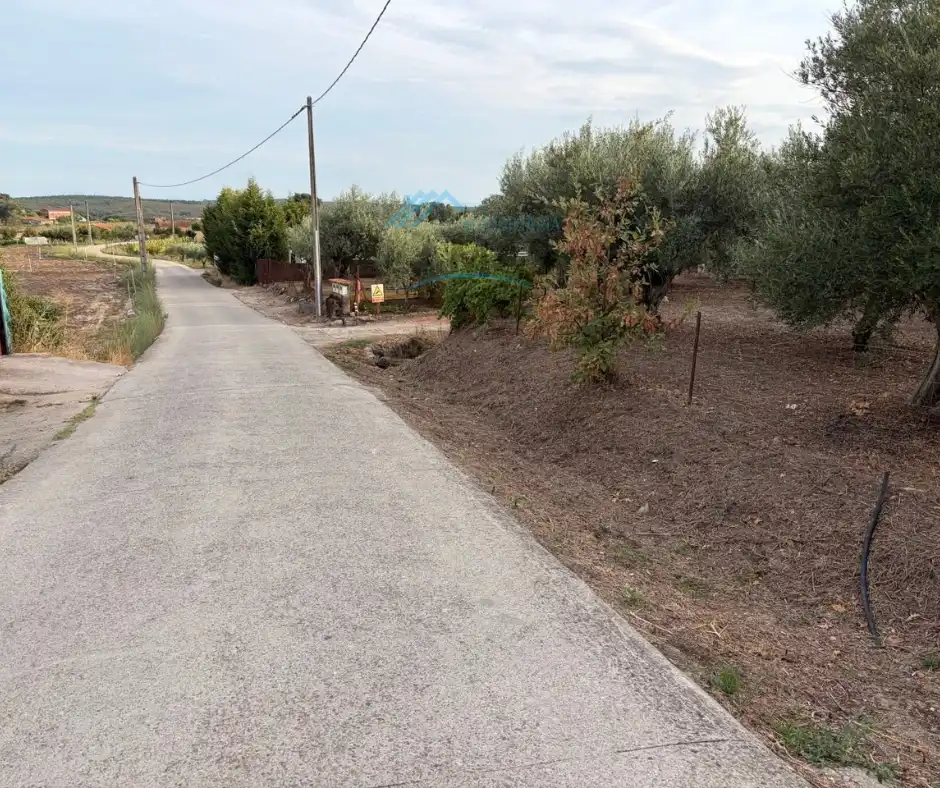 Terreno rústico en venta en Jarandilla de la Vera