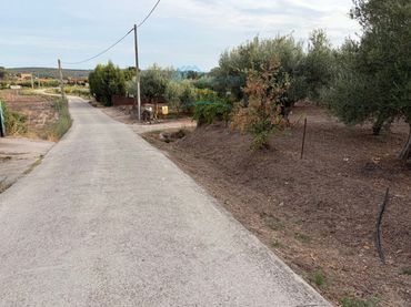 Terreno rústico en venta en Jarandilla de la Vera