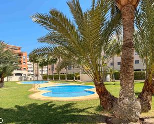Apartament de lloguer a Les Bassetes - El Marjal, Las Marinas / Les Marines, Dénia