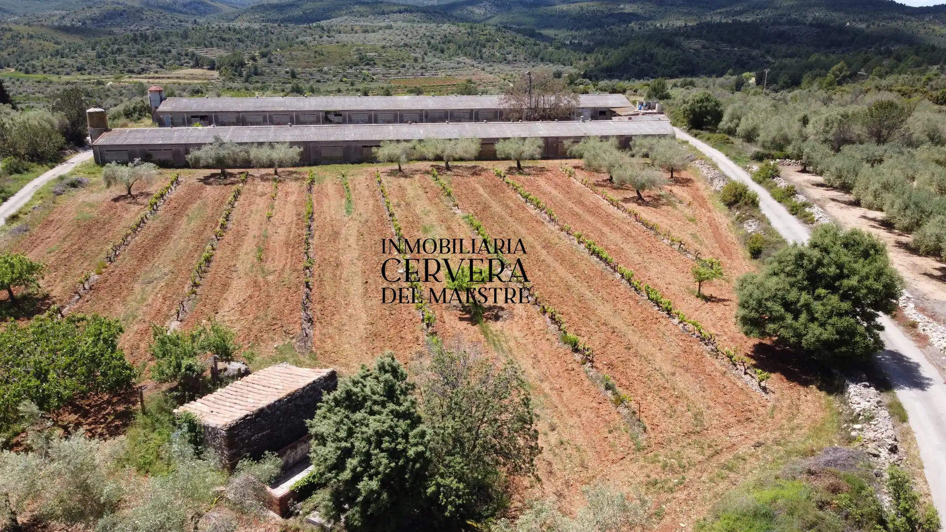 Terreno rustico in vendita a Cervera del Maestre, imagen 6