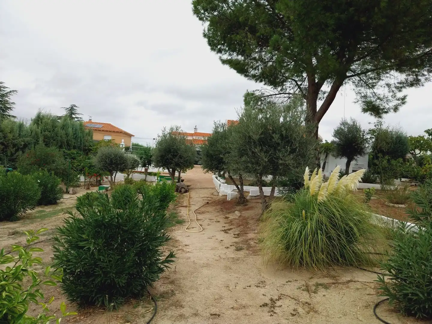 Jardín de Casa o chalet en venta en Cedillo del Condado