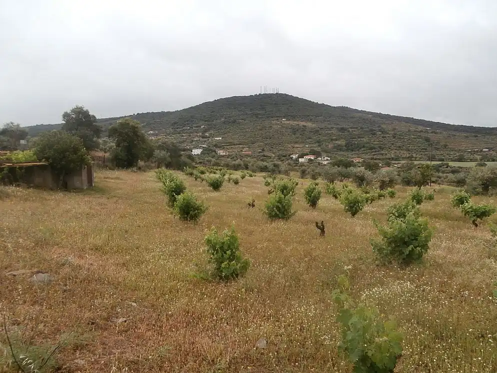 Terreni e lotti in vendita a Paraje Arroyo De Marta, imagen 13