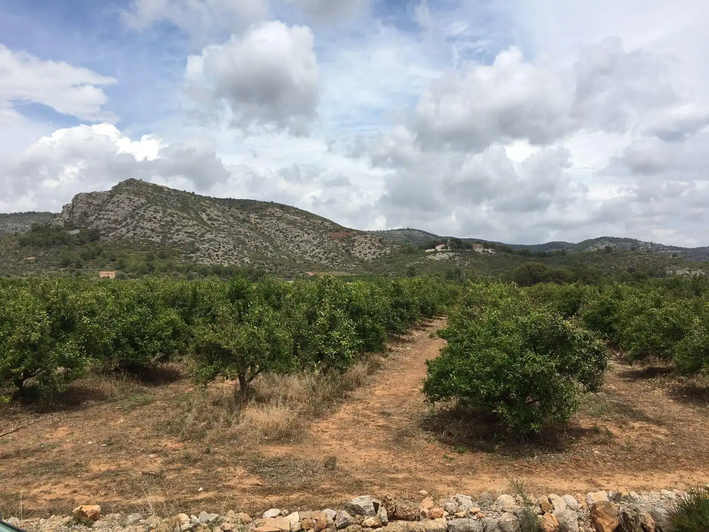 Rural land for sale in Ptda Miravet, imagen 8