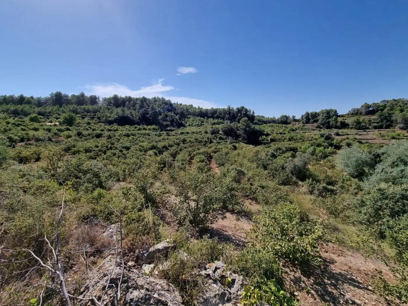 Terrain rustique à vendre à Tivissa, imagen 14