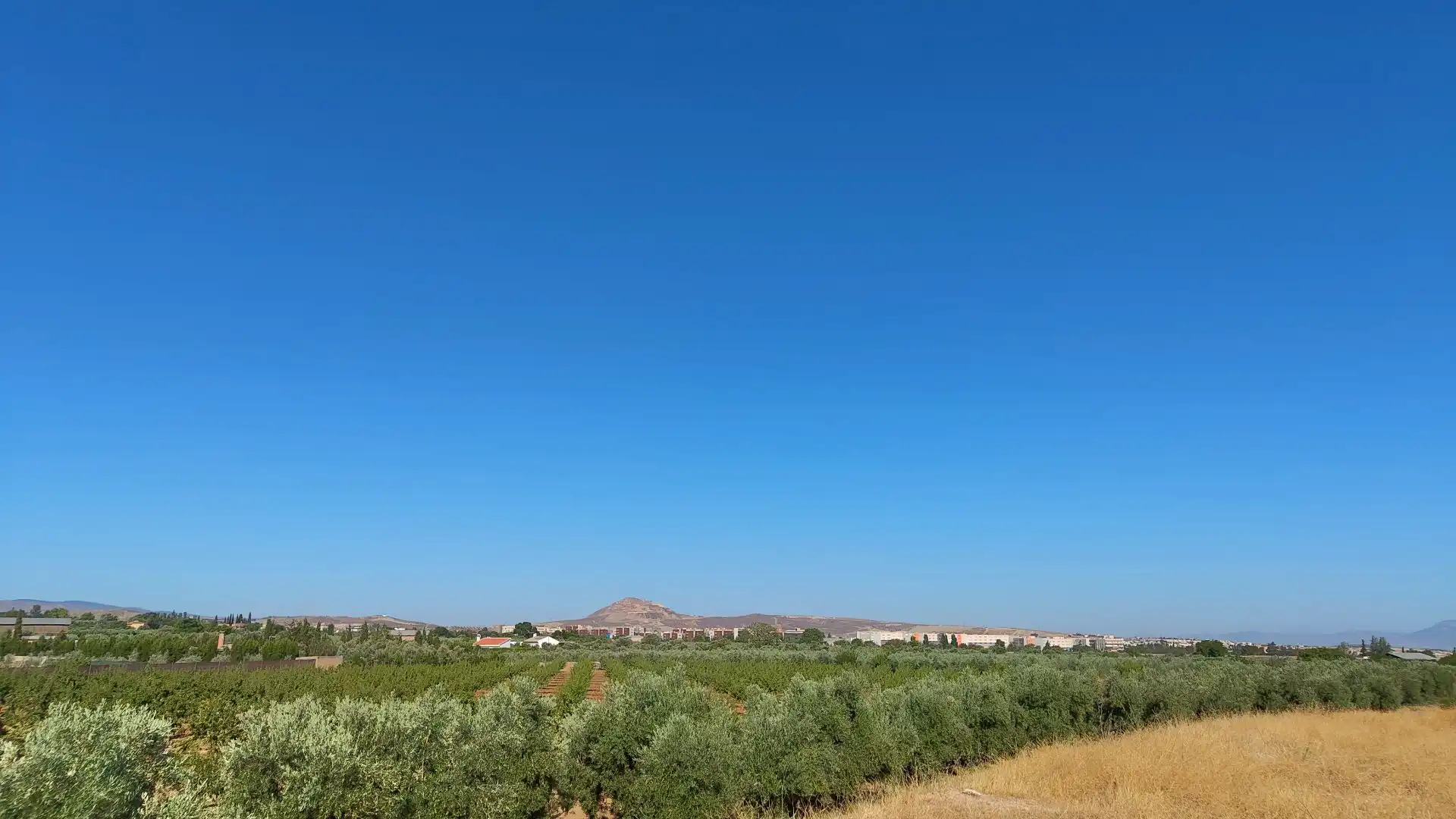 Terreno rustico in vendita a Aljancira, imagen 2
