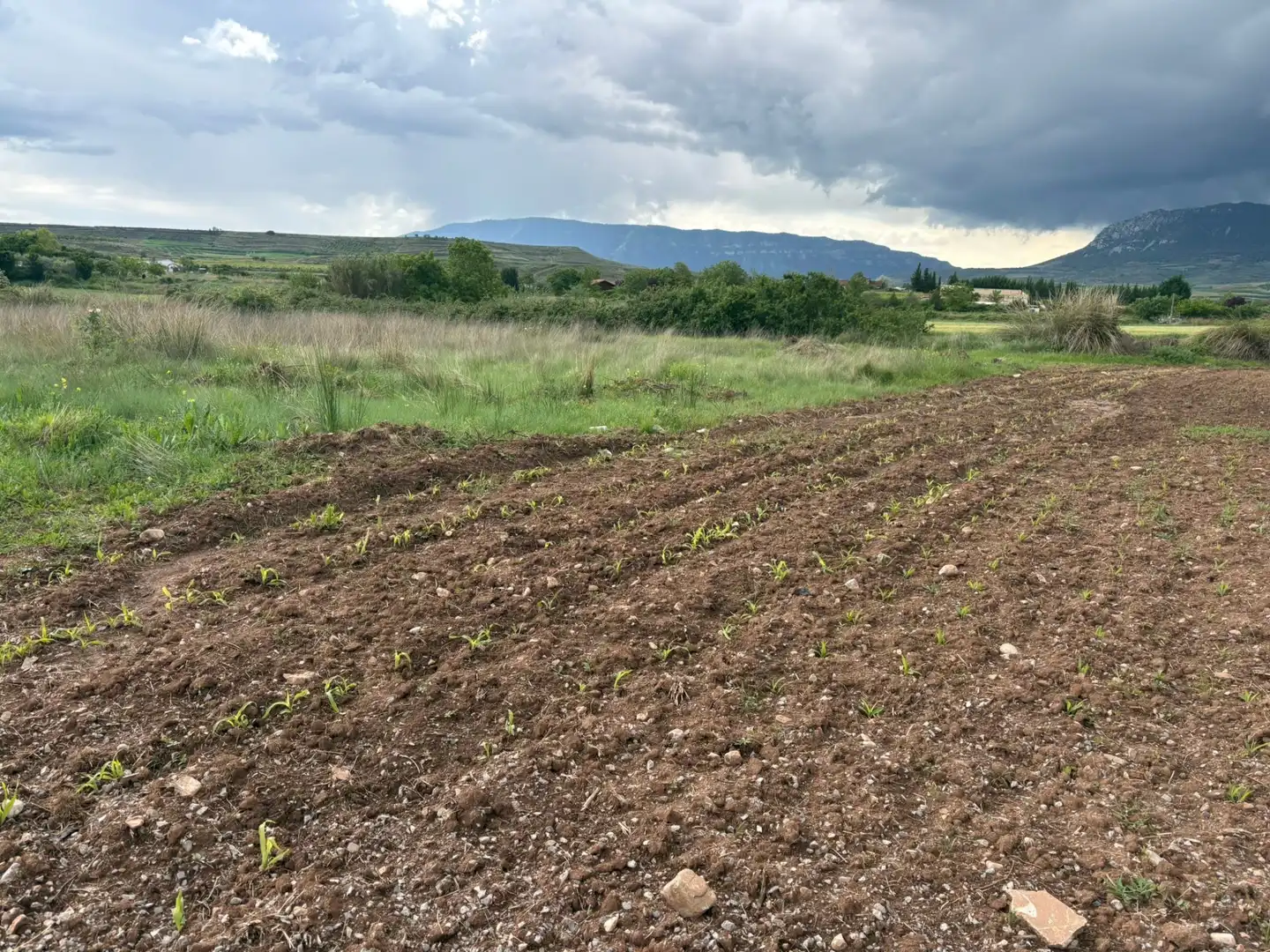 Terrenys i solars en venda a Alberite, imagen 3