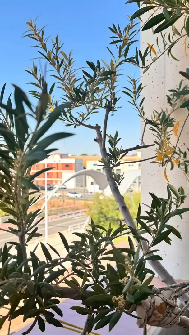 Terrasse von Einfamilien-Reihenhaus zum Verkauf in Puçol mit Heizung, Terrasse und Balkon