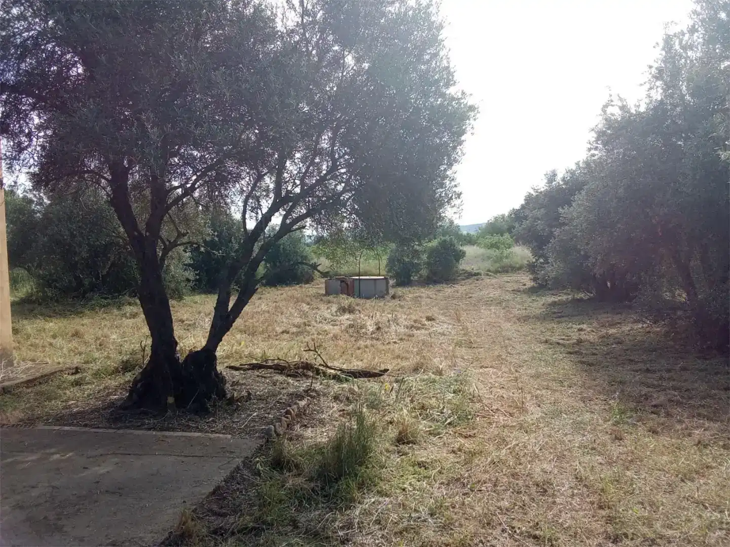 Pis en venda en Piedrabuena amb Jardí privat, Traster i Moblat