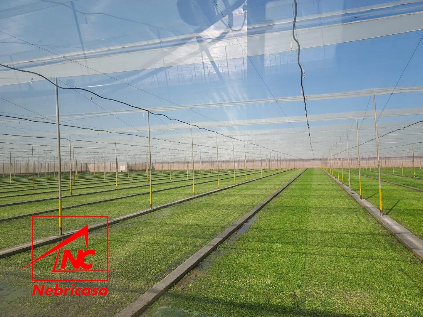 Garden of Residential for sale in Utrera