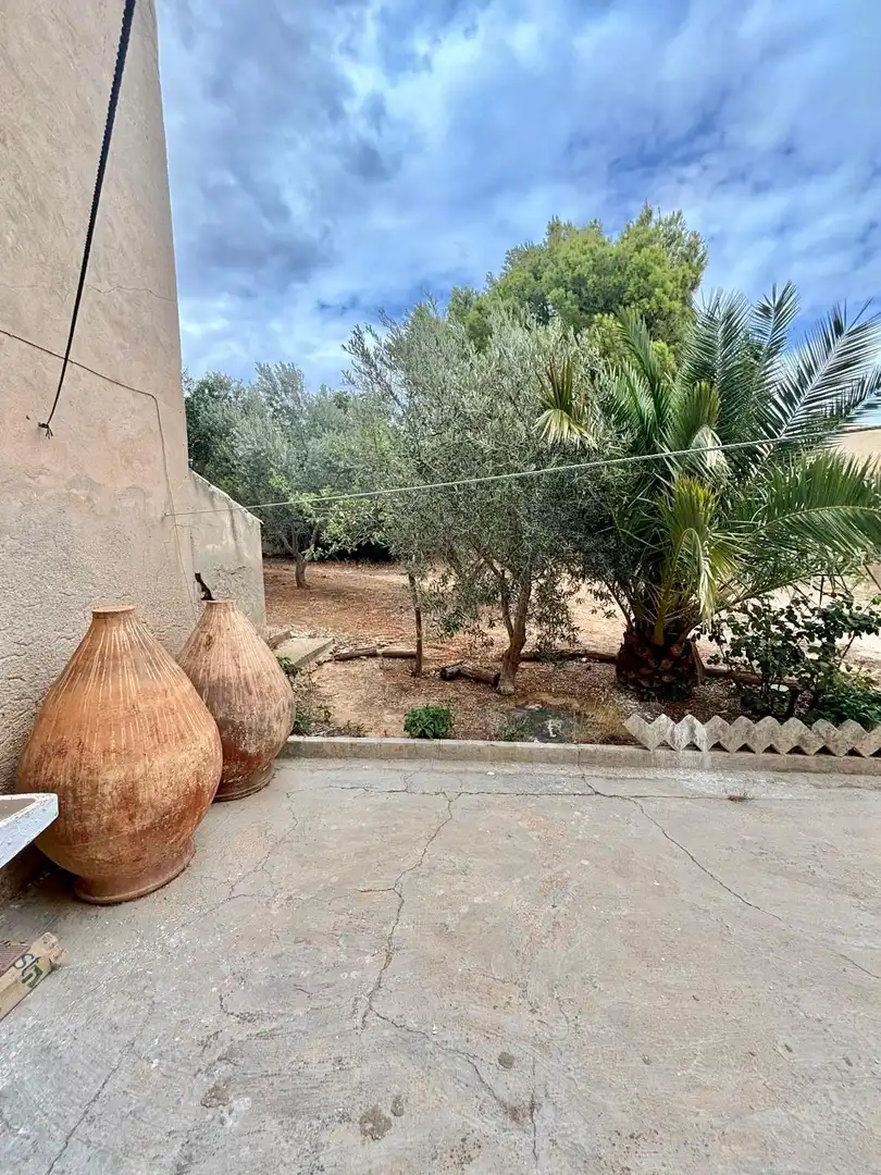 Jardí de Casa o xalet en venda en Albacete amb Traster, Moblat i Forn