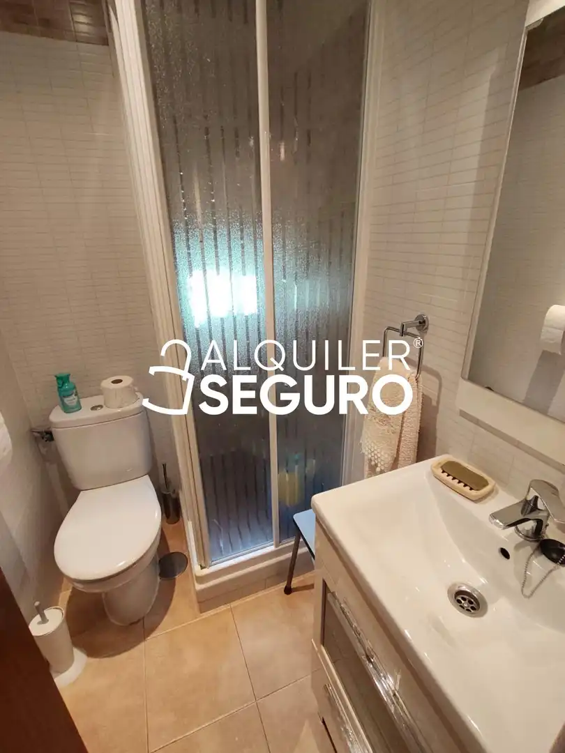 Bany de Pis de lloguer en Madrid amb Calefacció, Terrassa i Moblat