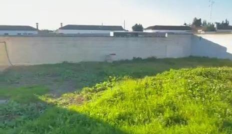 Foto 5 de Casa o chalet de alquiler