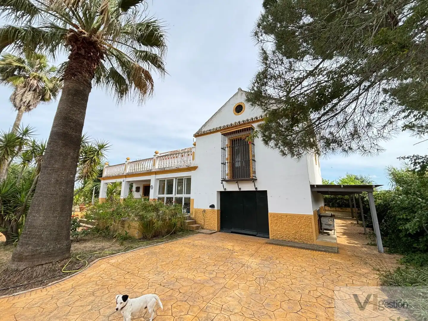 Vista exterior de Finca rústica en venta en Morón de la Frontera con Aire acondicionado, Calefacción y Terraza