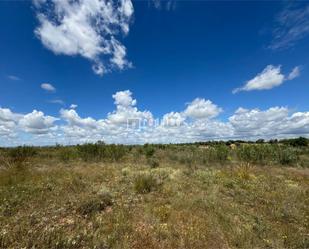 Industrial land for sale in Chinchón