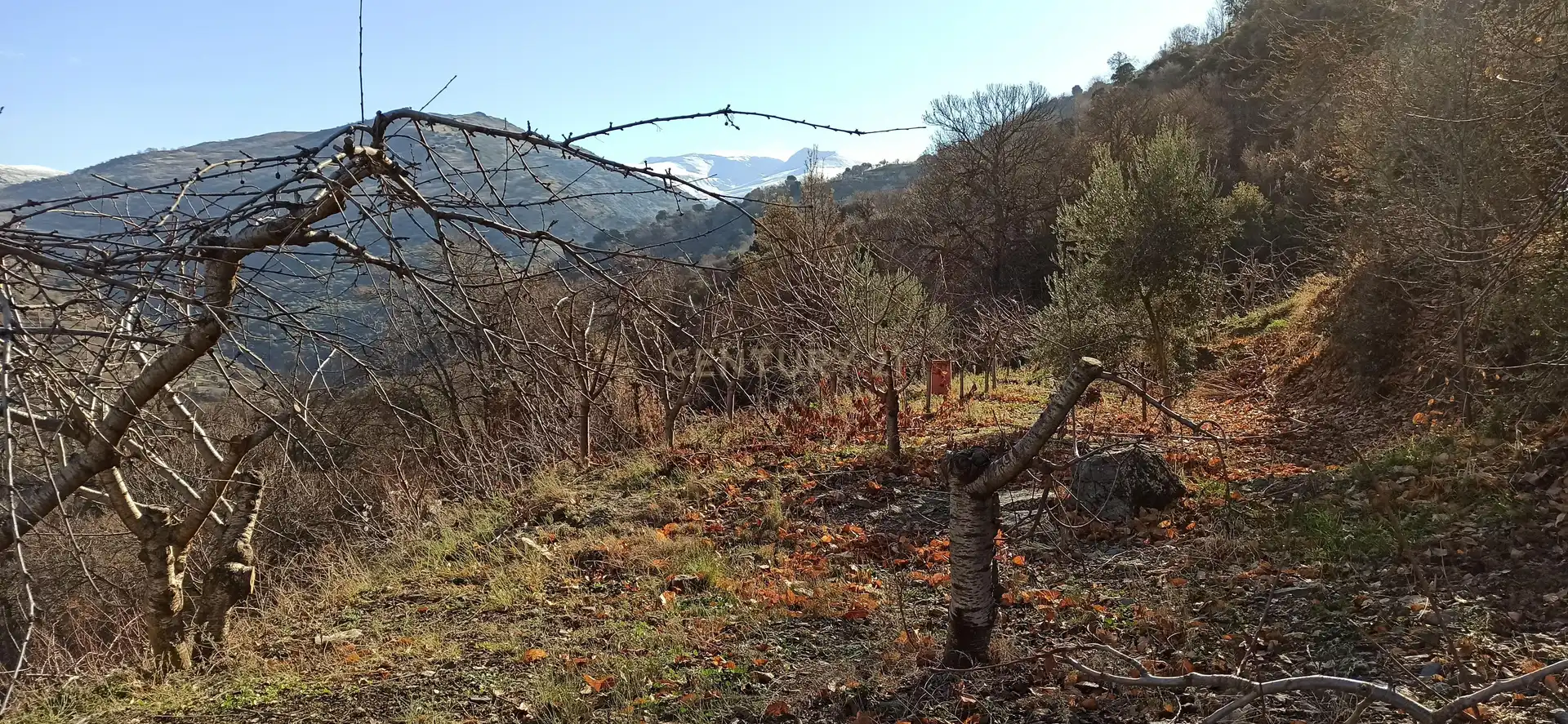 Rural land for sale in El sotillejo , Guejar sierra 178