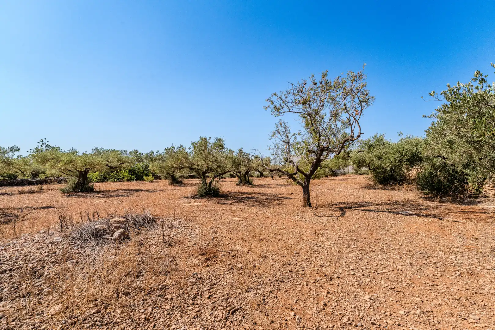 Houses for sale in L'Ampolla  with Private garden, Terrace and Storage room