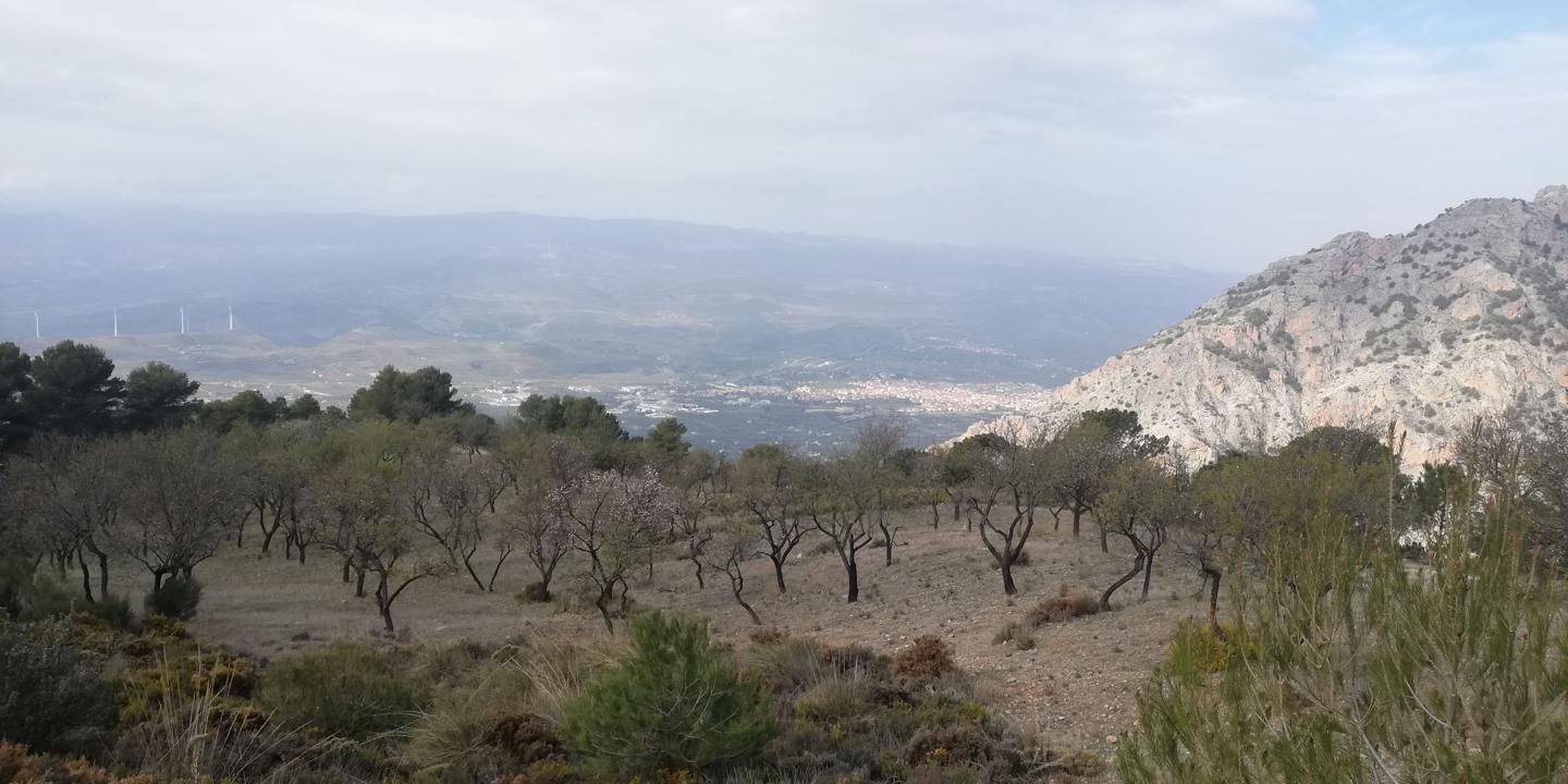 Finca rústica en venta en Lecrín