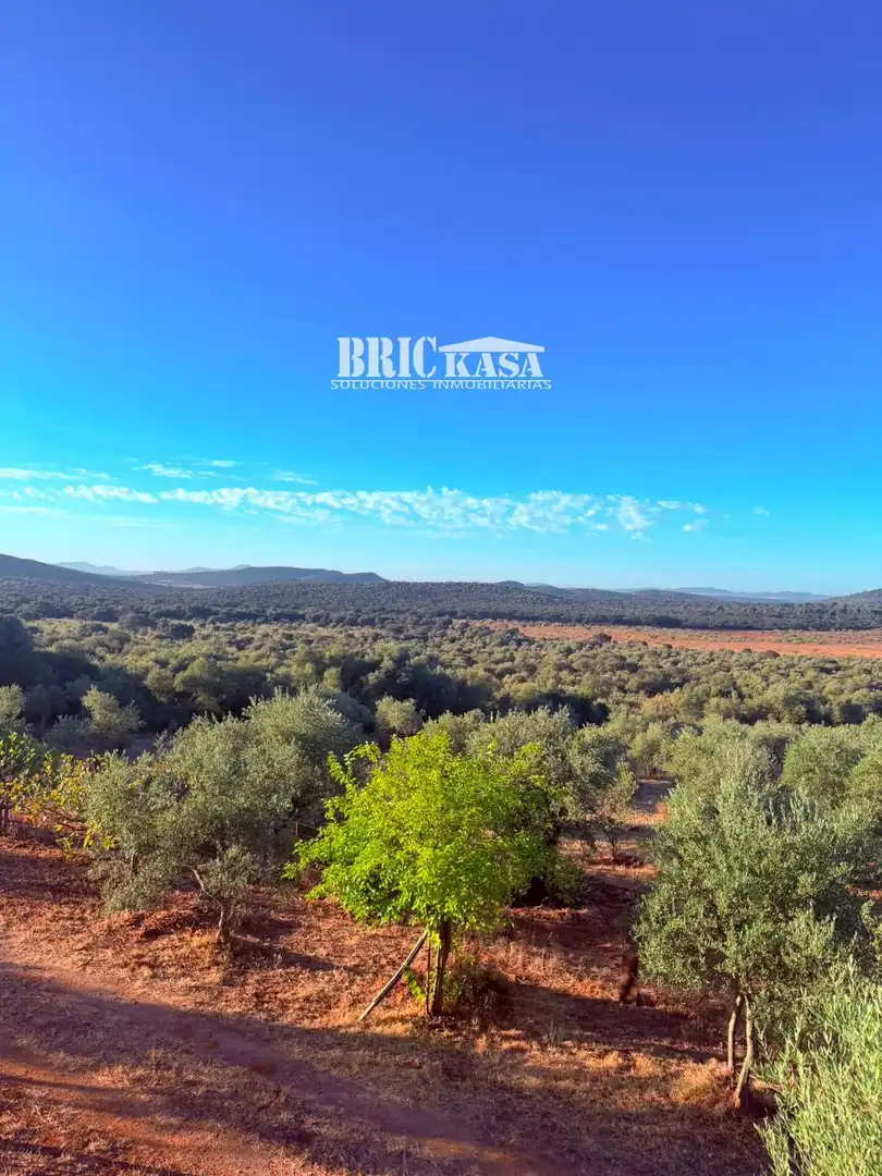 Vista exterior de Casa o chalet en venta en Cáceres con Trastero, Piscina y Amueblado