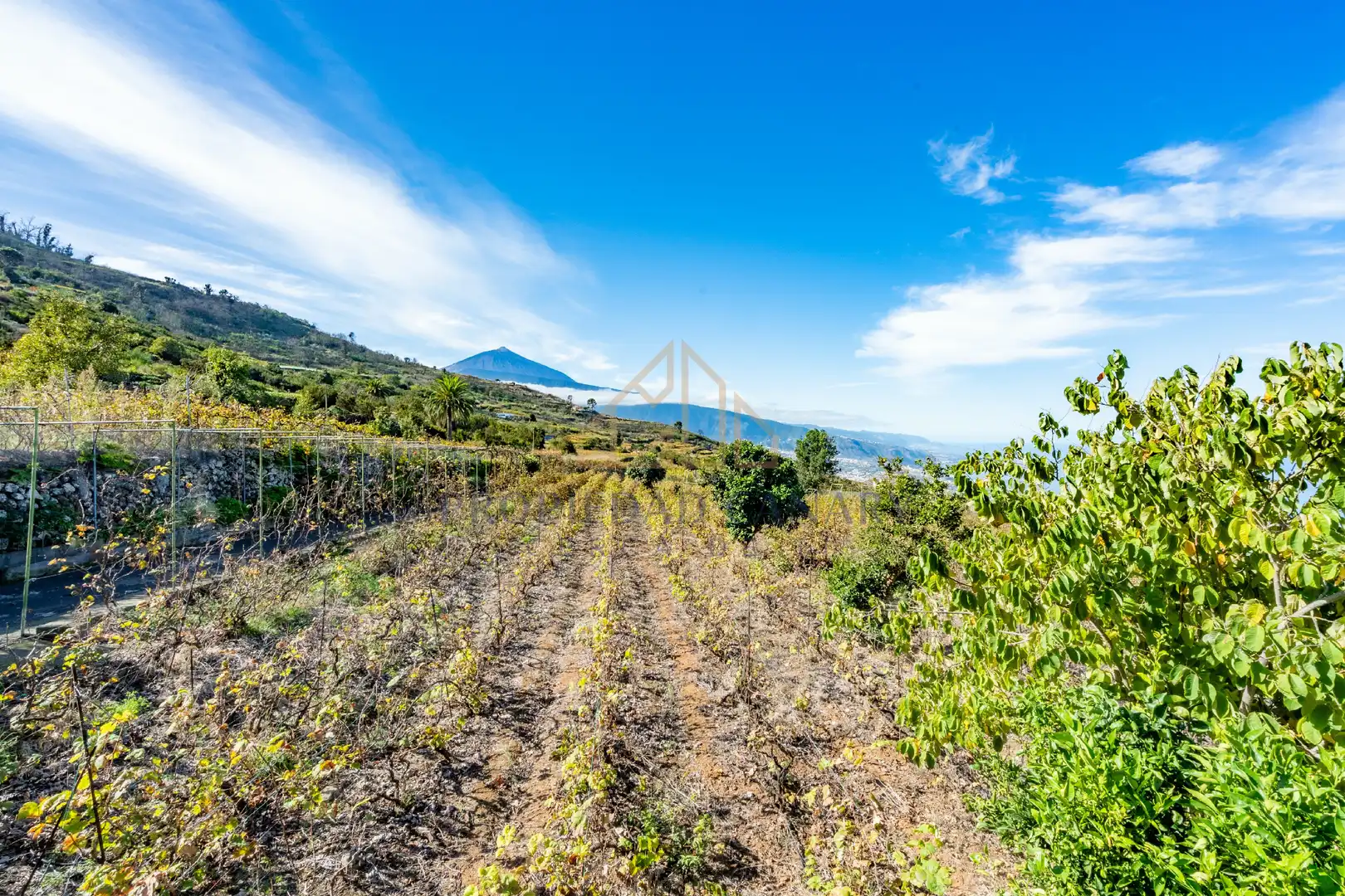 Finca rústica en venda en Santa Úrsula amb Terrassa