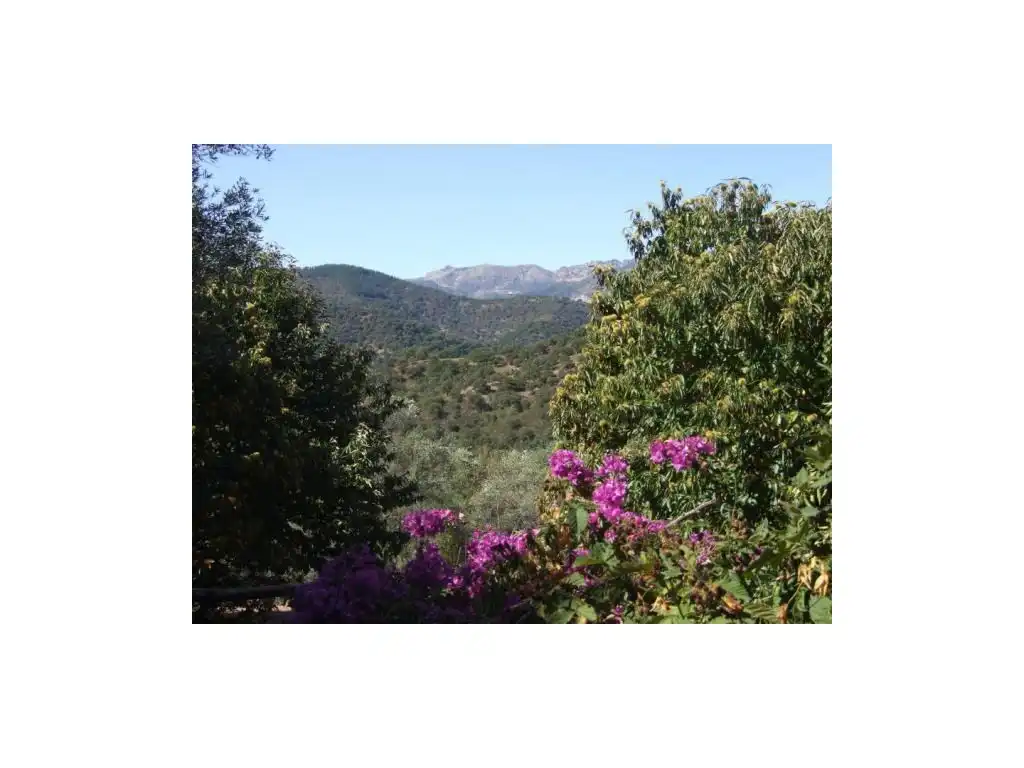 Maison à vendre à Faraján, imagen 4
